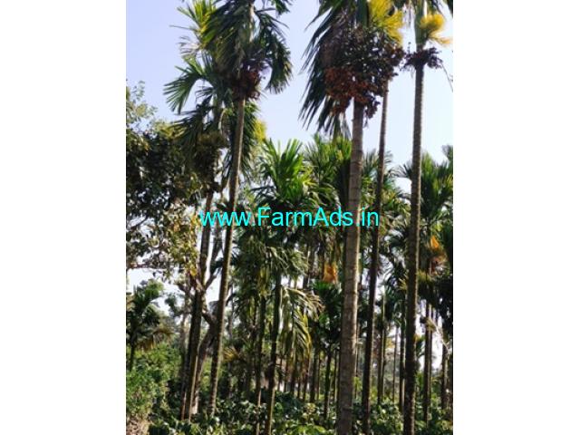 1 acre areca plantation sale in Mudigere 1 acre areca plantation sale in Mudigere
