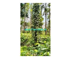 3 acre well maintained coffee estate for sale in Chikmagalur
