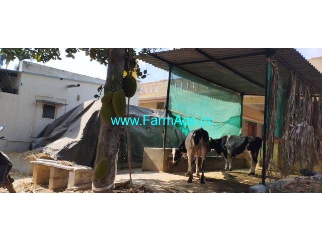 2 Acres 27 Guntas fully developed Farm house for Sale near Magadi 2 Acres 27 Guntas fully developed Farm house for Sale near Magadi