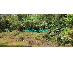 15 guntas Farm land sale in Mudigere