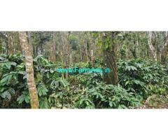 4 acre plantation with farm house for sale in Belur