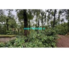 5 acre coffee Estate for sale in Chikmagalur