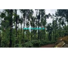 5 acre coffee Estate for sale in Chikmagalur 5 acre coffee Estate for sale in Chikmagalur