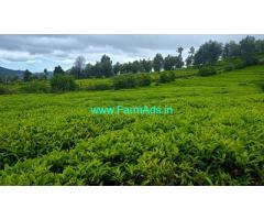 22.6 Cents extent tea garden for sale near Ooty
