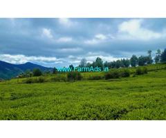 22.6 Cents extent tea garden for sale near Ooty