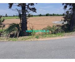 96 Cents Farm land for sale near Kalavai