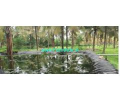 14 Acres Farm land Sale near Gubbi town