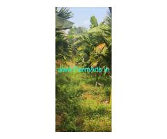 21 acres agriculture land sale near Belthangady 21 acres agriculture land sale near Belthangady