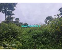 9.5 acre plain land sale in Belur