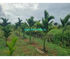4 acre Farm land for Sale near Belur Cross