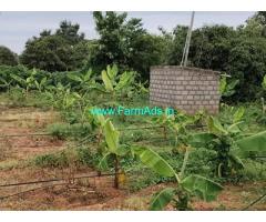 12 Acre mango plantation for sale near by Gaddige