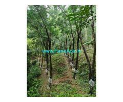 Fully cultivated Riverside agriculture land 5 acre Sale at Sulliya