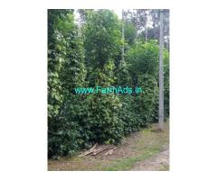 5 acre well maintained Robusta,pepper plantation sale in Chikmagalur