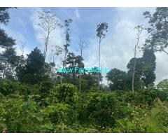2 acre coffee estate for sale in Belur