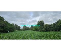 4 acre Mango plantation for sale near Shettihalli