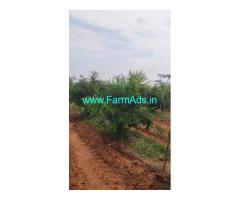 9.84 acres of Pomegranate farm land for sale near Anantapur