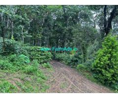 13 acre coffee estate with beautiful farm house for sale in Mudigere 13 acre coffee estate with beautiful farm house for sale in Mudigere