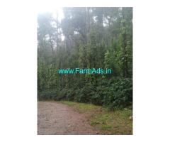 4.38 acre well maintained coffee pepper plantation sale in Chikmagalur