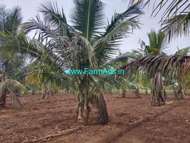 1 Acre 20 guntas Farm land for Sale near HD Kote 1 Acre 20 guntas Farm land for Sale near HD Kote