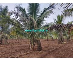 1 Acre 20 guntas Farm land for Sale near HD Kote