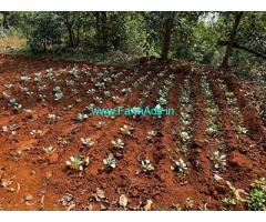 2 Acre 31 gunta farming plot in Velhe