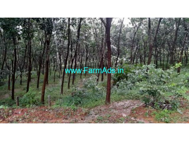 3 acre 27 cents Patta varga Rubber Plantation for Sale near Hebri 3 acre 27 cents Patta varga Rubber Plantation for Sale near Hebri