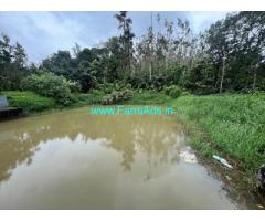 3 acres coffee estate with a running homestay Sale near Chikmagalur