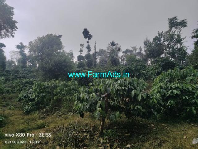 3.5 acre well maintained Robusta and pepper plantation sale Mudigere 3.5 acre well maintained Robusta and pepper plantation sale Mudigere