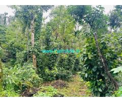 11.5 acre coffee plantation for sale in Kalasa road