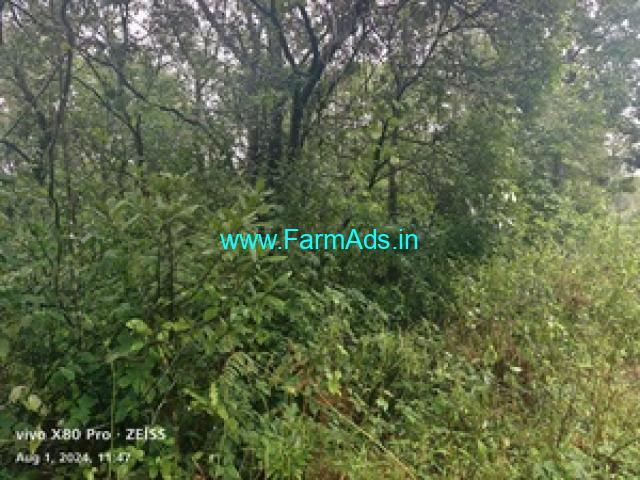 8 acre farm land sale in Mudigere 8 acre farm land sale in Mudigere