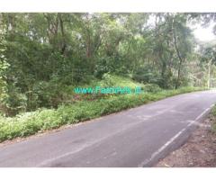 2 ares highway approach coffee estate for sale in Chikmagalur