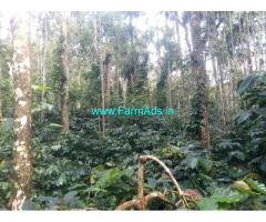 1 acre well maintained plantation sale in Chikmagalur