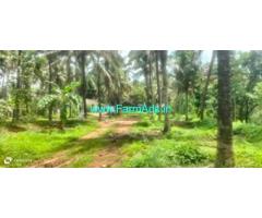 2.54 Acre Farm Land for Sale near Palakkad Road , Nellimedu