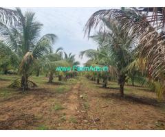 2 acre Farm land Sale near Yediyur 2 acre Farm land Sale near Yediyur