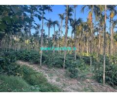28 acre well maintained coffee estate for sale in Hassan