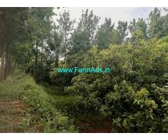 13 acres agriculture land Land for sale near Denkanikottai