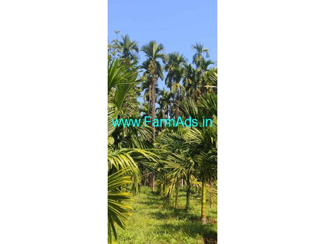 6 acres agriculture land sale near Marodi 6 acres agriculture land sale near Marodi