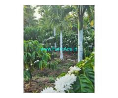 10 acre coffee, Areca plantation for sale in Sakleshpur