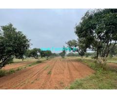 29 Acres 12 Guntas Mango Plantation for Sale near Kyasamballi Hobli