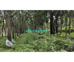 27 Cents Farm Land for sale between Dharmasthala Kokkada
