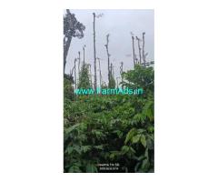 4 acre well maintained Robusta and pepper plantation sale in Mudigere