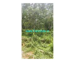 1.40 acres Farm land for sale in Attappady