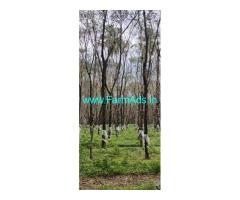 25 acres Agriculture land sale near Belthangady