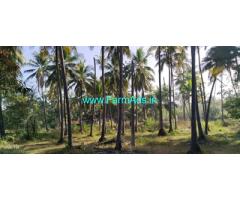 1.80 Acres coconut plantation for sale in Mulky