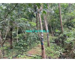 Agricultural Land for Sale 2 Acre 82 Cents