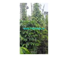 4 acre Coffee,pepper plantation with house sale in Mudigere