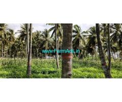 18 gunta Farm Land with Farm house for Sale near Channapatna
