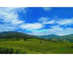 86.5 cents Tea garden for sale near Ooty