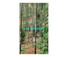 2.75 acre Farm sale in Attappady