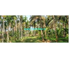 10 Acres farmhouse for sale near Madhugiri